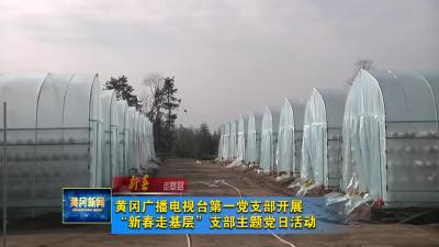 《新春走基层》黄冈广播电视台第一党支部开展“新春走基层”支部主题党日活动
