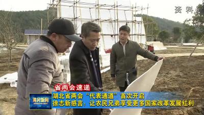 【省两会速递】湖北省两会“代表通道”首次开启  徐志新感言：让农民兄弟享受更多国家改革发展红利