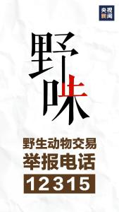 央视新闻 | 新闻来了〔2020.02.28〕