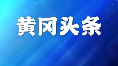 【黄冈头条】刘雪荣：继续把疫情防控作为头等大事抓紧抓实抓细