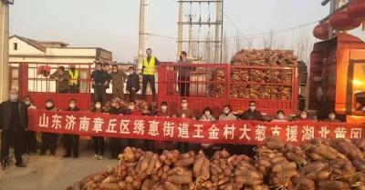 山东义举！2万斤济南章丘“状元葱”驰援湖北黄冈