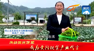 决战脱贫攻坚 黄冈脱贫户为扶贫产业代言