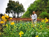 清明时节抓农时 田间地头一派忙碌景象