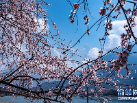 春到雅鲁藏布江大峡谷