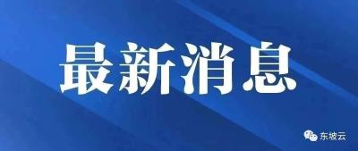 湖北燕矶长江大桥开始招标！6月开工，建设周期4年半