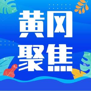 【黄冈聚焦】“涉外记者抗疫采访团”来我市采访