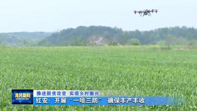 推进脱贫攻坚  实现乡村振兴