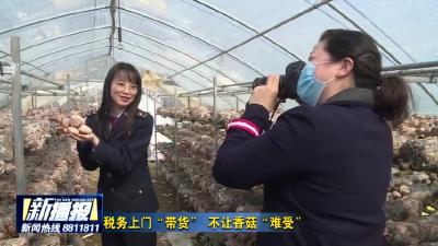 税务上门“带货”  不让香菇“难受”