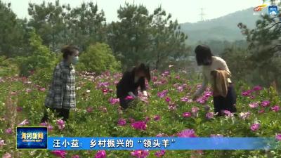 汪小益：乡村振兴的“领头羊”