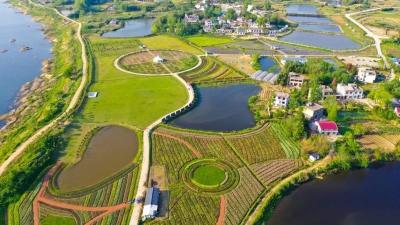 花涧谷按下复工复产快进键