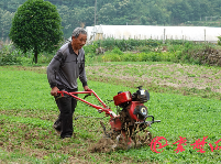 芒种：愿你有忙有种有收获