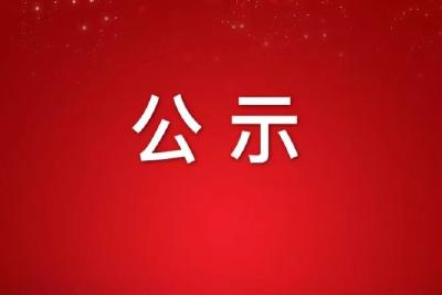 2019年度黄冈市文艺精品创作扶持项目终审结果公示