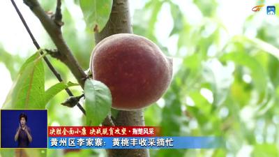 《决胜全面小康 决战脱贫攻坚——荆楚风采》保持好势头 再夺好收成