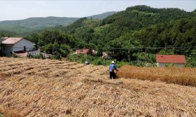 黄冈职业技术学院到驻点扶贫村调研
