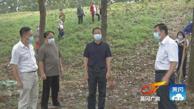 刘雪荣到沿江县市检查督导防汛工作