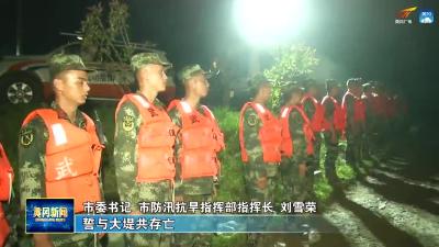刘雪荣检查督导团风举东堤防汛抢险工作