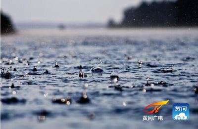 7月13日全市雨水情信息