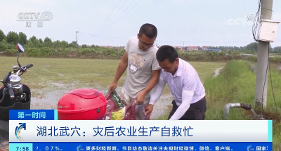 央视聚焦！播出《湖北武穴：灾后生产自救忙》