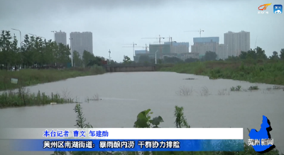 黄州区南湖街道：暴雨酿内涝 干群协力排险
