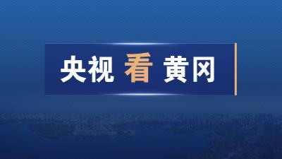 聚焦黄冈：来自中央电视台的报道