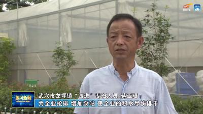 护航市场主体 实现更大发展