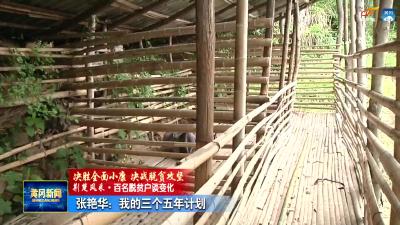 张艳华：我的三个五年计划