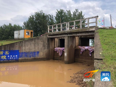 黄州区快速排除一码头涵闸渗水险情