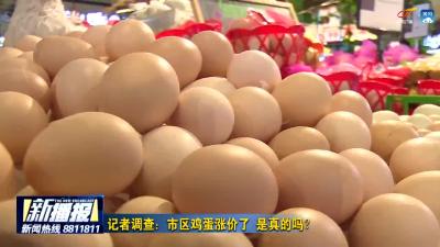 记者调查：市区鸡蛋涨价了 是真的吗？