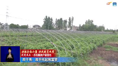 《百名贫困户谈变化》 周于秀：双手托起致富梦