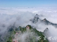 忽闻“海上”有仙山