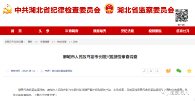 麻城市人民政府副市长顾兴胜主动投案接受审查调查