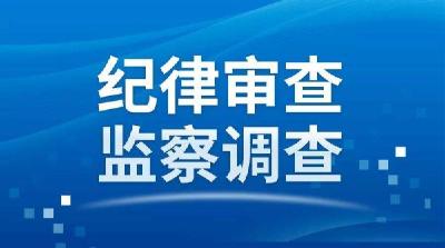 最新！黄冈2人接受纪律审查和监察调查