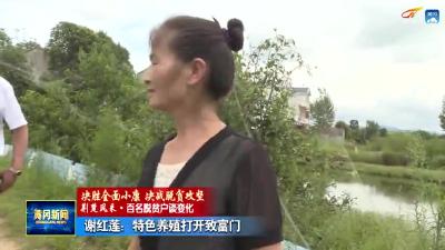《脱贫户谈变化》谢红莲：特色养殖打开致富门