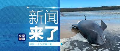 央视新闻 | 新闻来了〔2020.09.24〕
