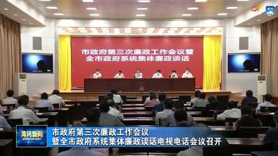 市政府第三次廉政工作会议暨全市政府系统集体廉政谈话电视电话会议召开