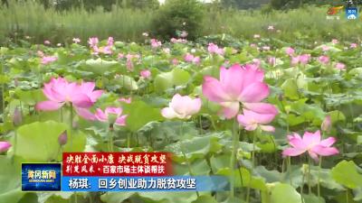杨琪：回乡创业 助力脱贫攻坚