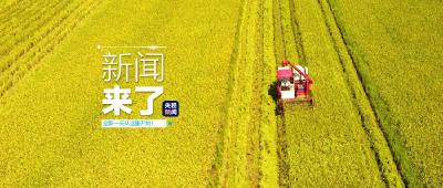 央视新闻 | 新闻来了〔2020.09.13〕