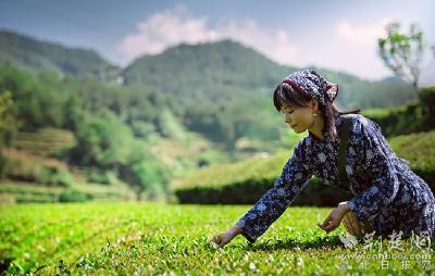 云上“一节一会”（6）英山：云上办节会，企业信心足