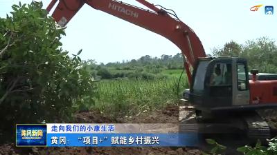 黄冈：“项目+”赋能乡村振兴