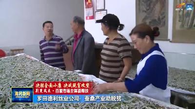 罗田德利丝业公司：蚕桑产业助脱贫