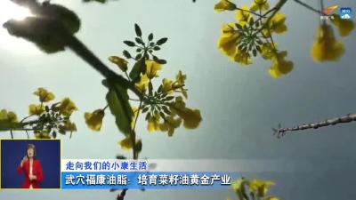 武穴福康油脂：培育菜籽油黄金产业