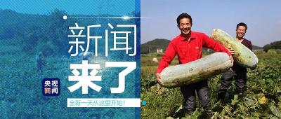 央视新闻 | 新闻来了〔2020.10.17〕