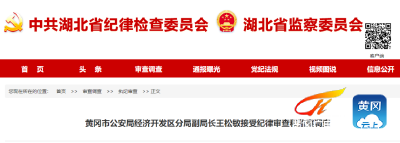 王松敏接受纪律审查和监察调查