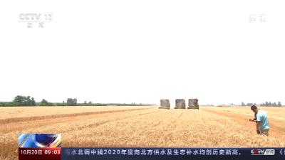 这么多刚丰收的粮食看得人流口水！秋粮即将全面上市 你的胃准备好了吗？