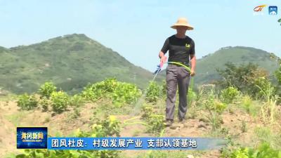 团风杜皮：村级发展产业 支部认领基地