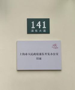 从“141”到“2020”，而立浦东仍在加速