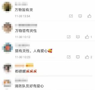 这个消防队门口有只小猫在站岗？原因超暖心......