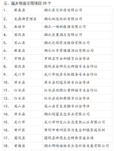 关于2020年黄冈市返乡创业候选示范乡（镇）、示范园和示范项目名单的公示