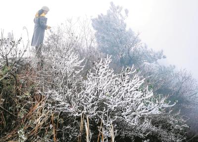 我省今冬第一场雪比往年来得早一些