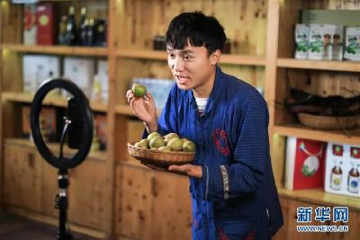 7年精准扶贫，这个“著名”贫困村“长”出10余种新职业